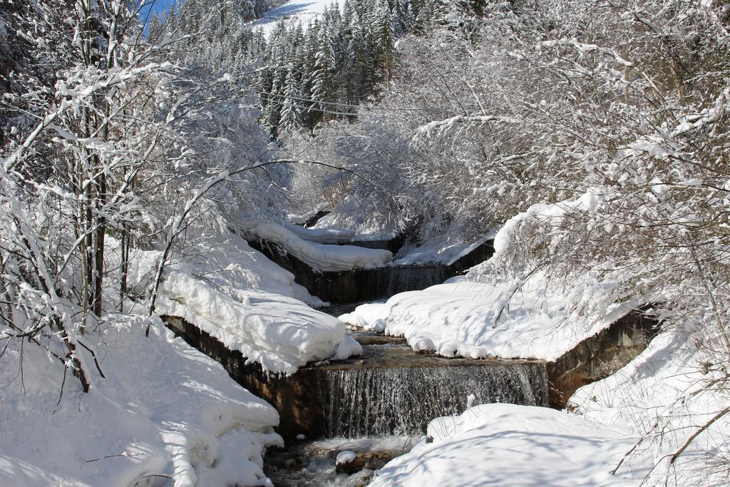 Bad Bergfallerhof Olang ภายนอก รูปภาพ