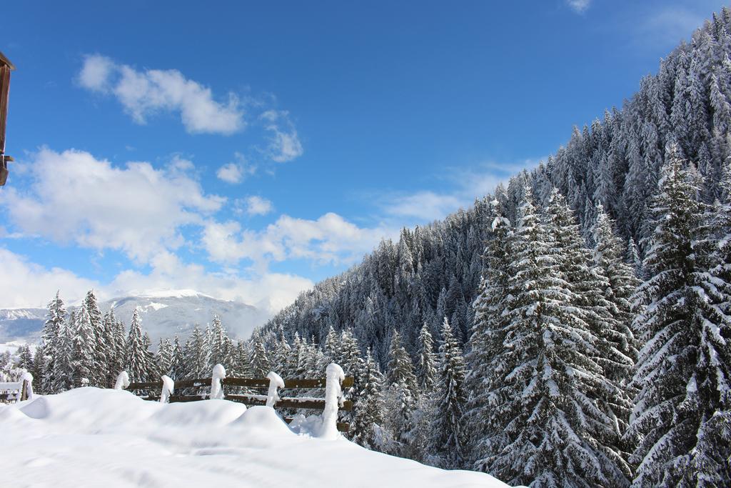 Bad Bergfallerhof Olang ภายนอก รูปภาพ