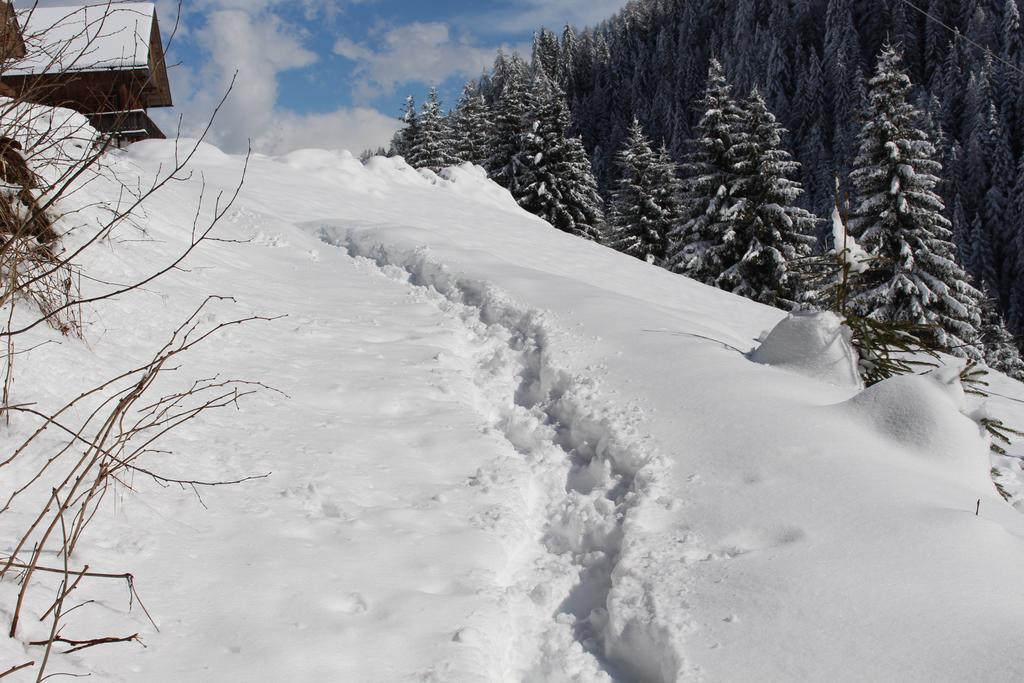 Bad Bergfallerhof Olang ภายนอก รูปภาพ